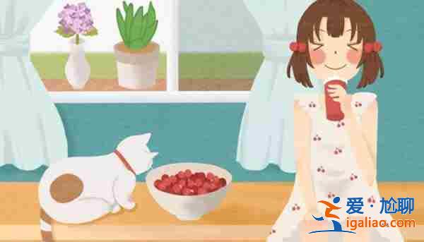 包生男孩公司哪家最好「全程陪护」？