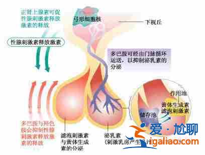 解读一下呼和浩特代生宝宝价格[ 同性试管 ]？