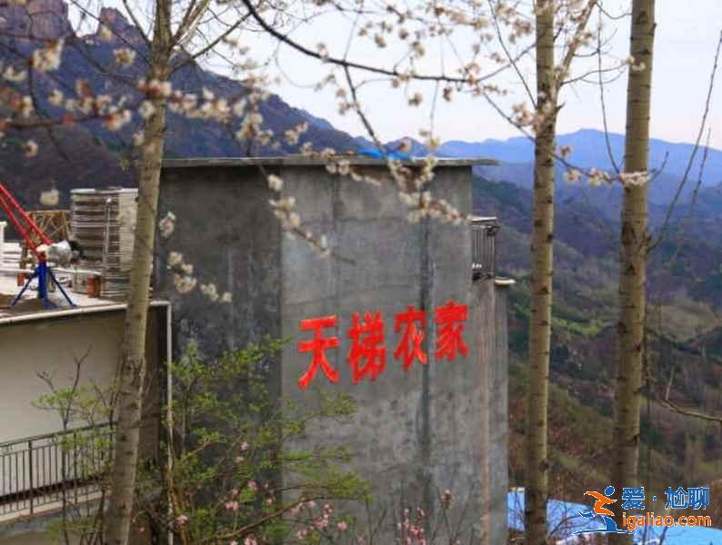 新乡辉县旅游住哪里好，辉县民宿推荐，辉县市住宿攻略？