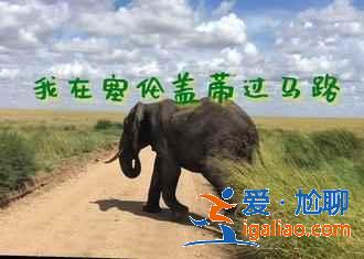 【肯尼亚旅游注意事项】肯尼亚旅游需注意什么？