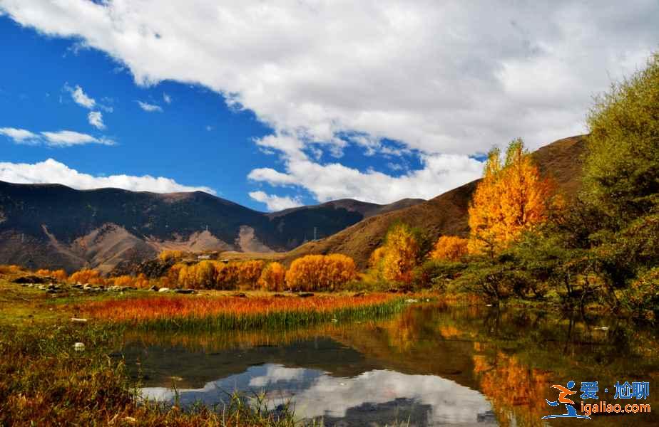 新都桥摄影指南（最佳拍摄地点、时间）？