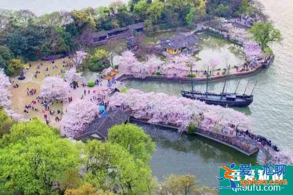 2021无锡鼋头渚樱花节活动有哪些 鼋头渚樱花节活动亮点？