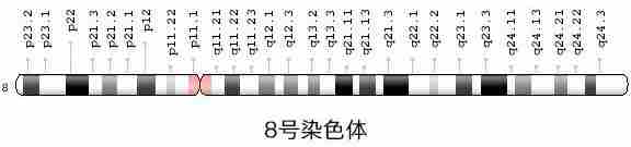 银川代妈，究竟备孕注意哪些才对？？