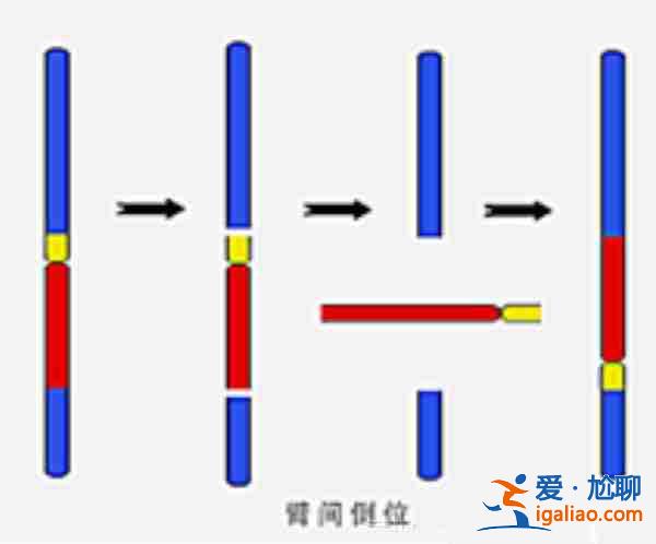 哈尔滨代怀代生？