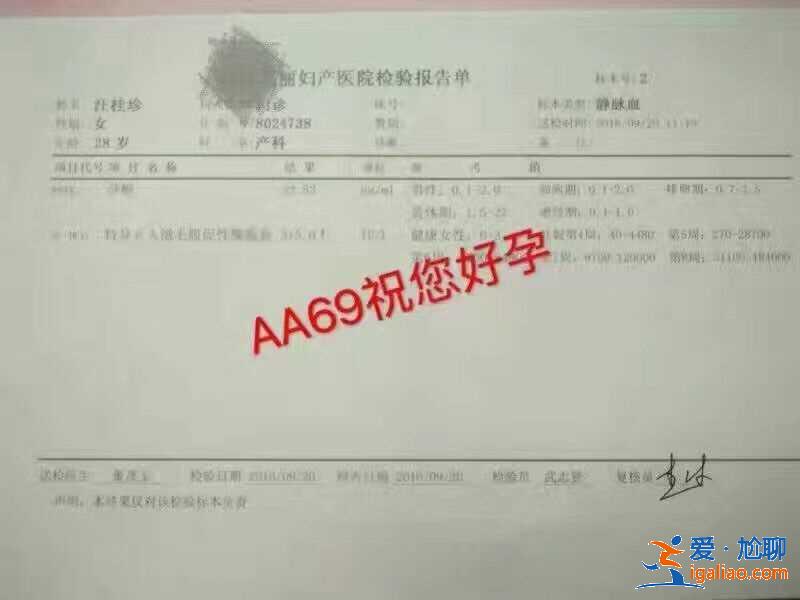 代生男孩子公司多少费用？