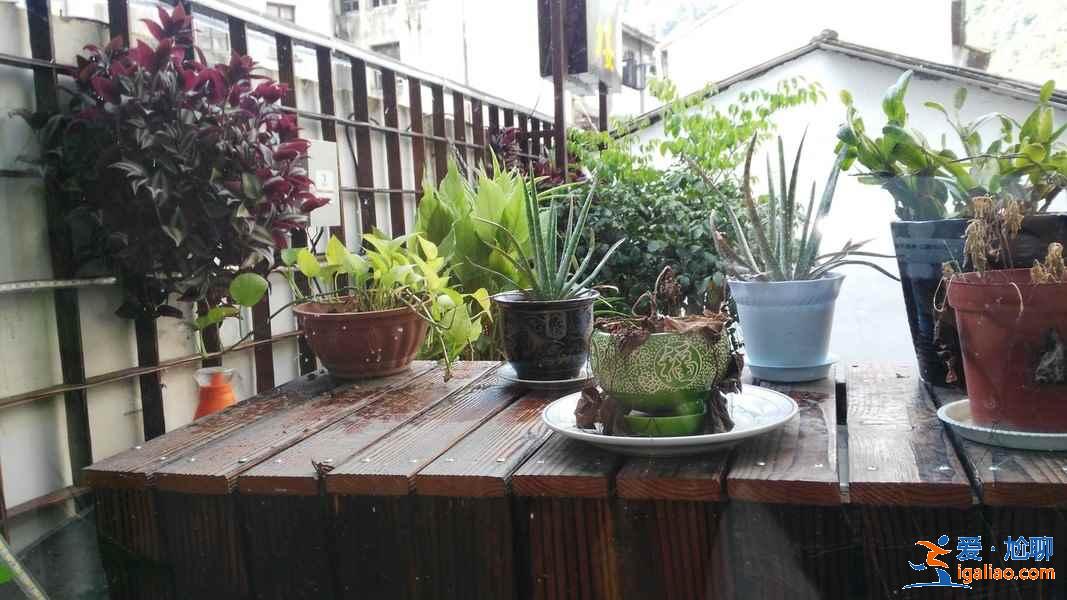 楠溪江住哪里好？楠溪江住宿推荐？