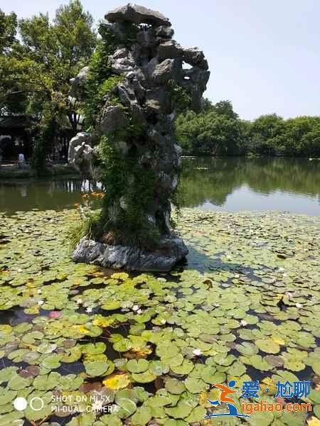 西湖三潭印月好玩吗，西湖三潭印月有什么好玩的，西湖三潭印月有什么景点？