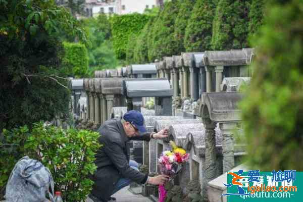天津公墓扫墓怎么预约 2021天津各大公墓扫墓预约方式？