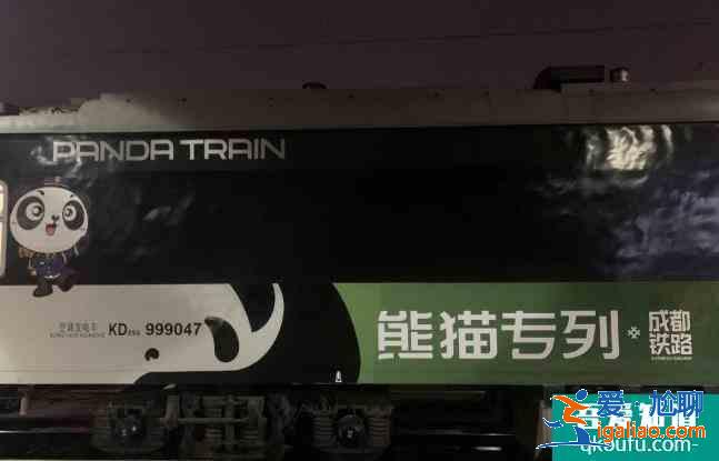 熊猫专列y888次列车成都遵义三日游攻略？