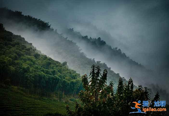 安吉有什么好玩的，安吉哪个景点最好玩，安吉旅游哪里最好玩？