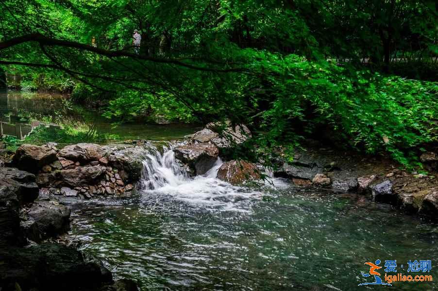 暑假去哪里旅游最好，暑假去哪里旅游凉快？