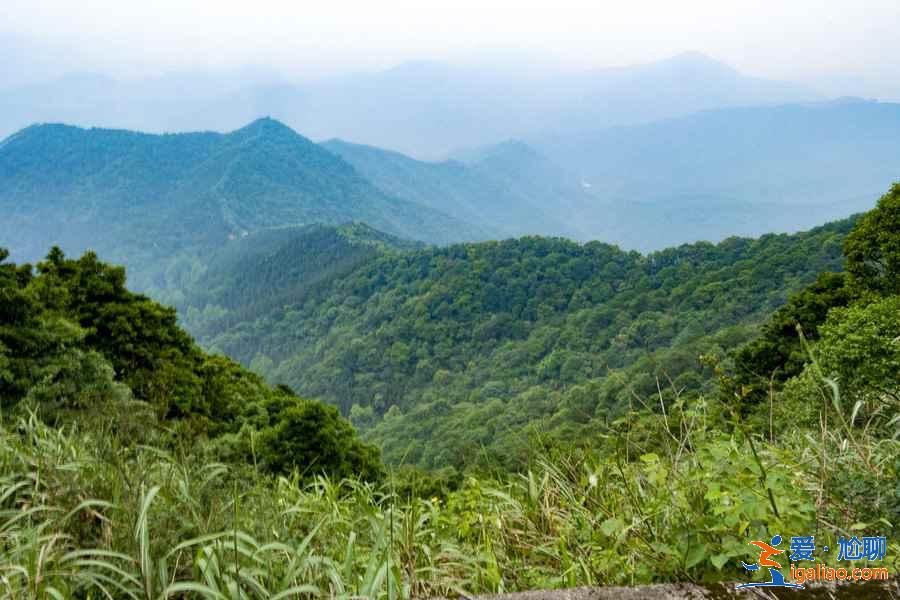 暑假去哪里旅游最好，暑假去哪里旅游凉快？