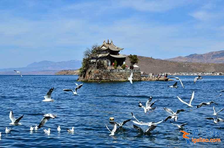 洱海环湖自驾需要多长时间，洱海环湖自驾路线怎么走？
