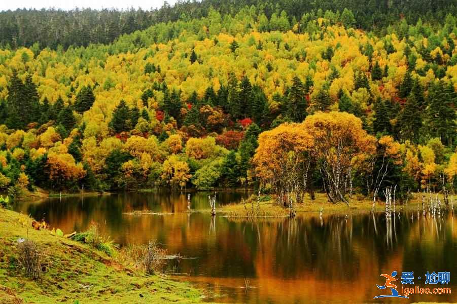 香格里拉有哪些著名景点，香格里拉必游景点推荐，香格里拉旅游攻略？