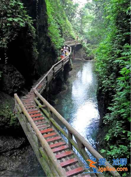 青城山热门景点有哪些，青城山热门景点怎么样，青城山热门景点攻略？