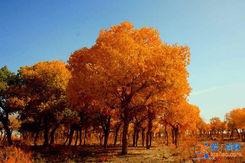 敦煌什么季节旅游好？敦煌什么季节去好？敦煌适合什么季节去？？