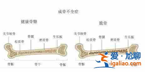 乌克兰助孕中介,口碑最好的助孕公司？