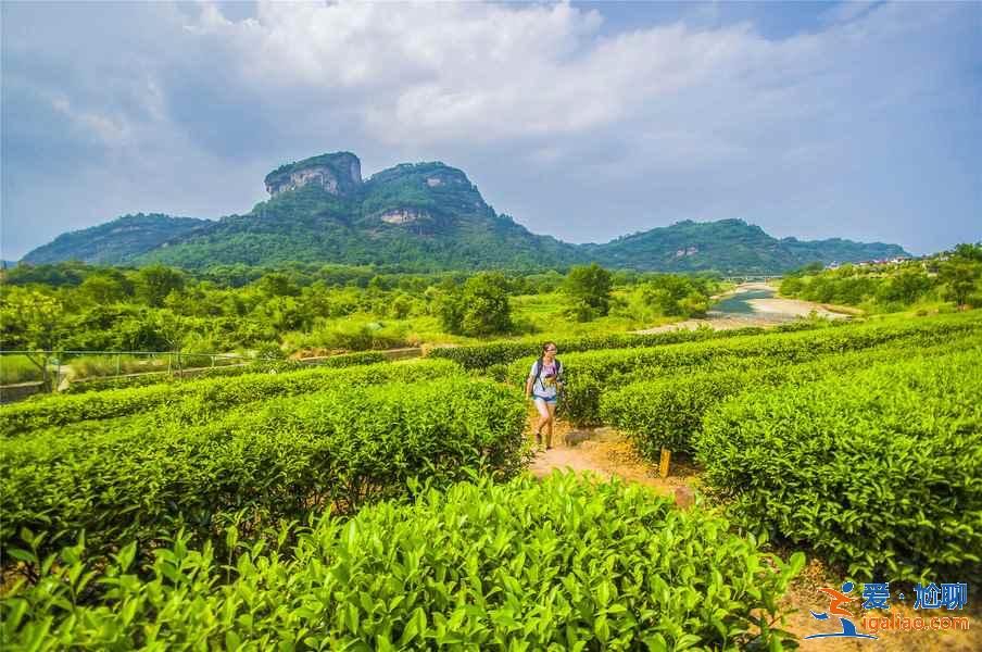 武夷山怎么玩，吃行游玩全攻略？