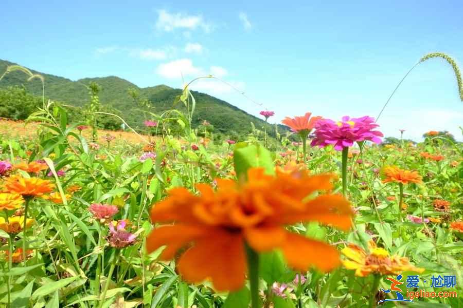 【门票】舟山桃花岛门票多少钱，桃花岛门票价格？