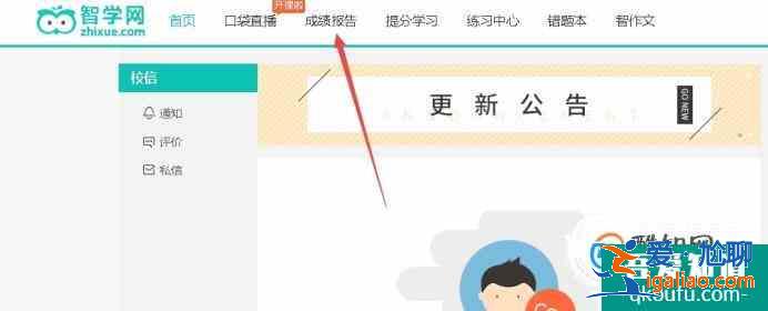 智学网怎么查分呢？