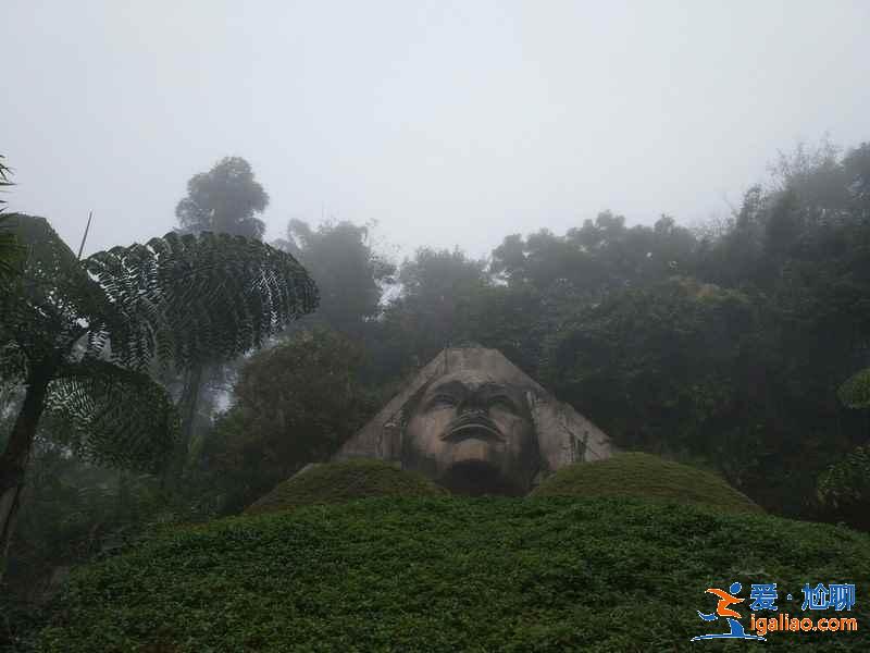 西双版纳一定要去的景点，西双版纳景点排行榜，西双版纳景点前五名？