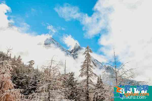 四川最美雪景游玩地 四川看雪的旅游景点？