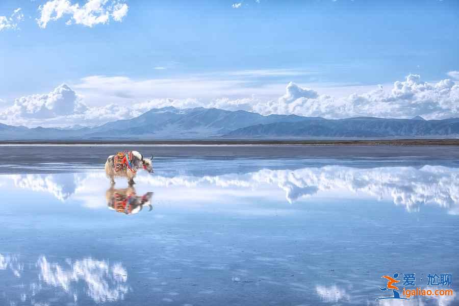 七月青海哪里好玩，七月青海有哪些好玩的地方，青海七月旅游好去处？