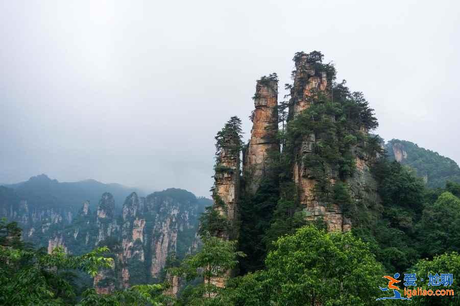 张家界有哪些影视取景地，张家界大片取景地，张家界阿凡达取景地？