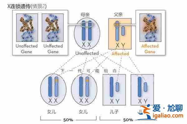 南宁代生宝宝公司-打造的一款针对于孕期管理的？