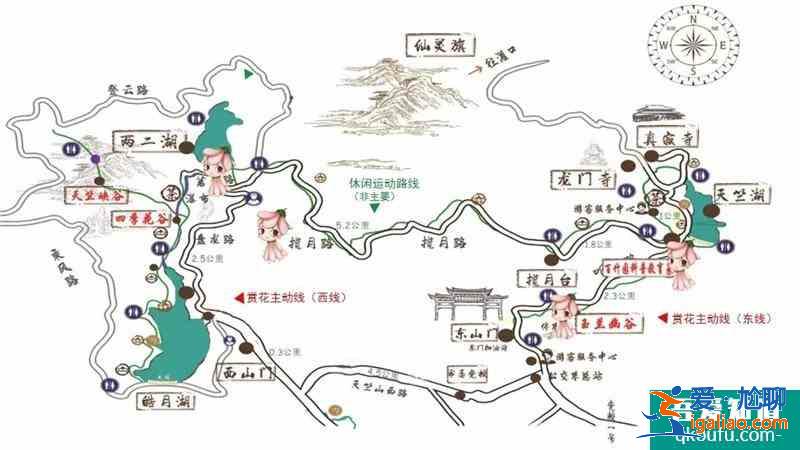 2021厦门天竺山桐花节时间地点及活动介绍？