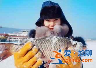 哈尔滨红色旅游景点有哪些，哈尔滨红色旅游经典景区有哪些，哈尔滨红色旅游路线有哪些？