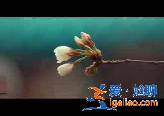 2019武汉哪里好玩又便宜，武汉好玩又便宜的地方？