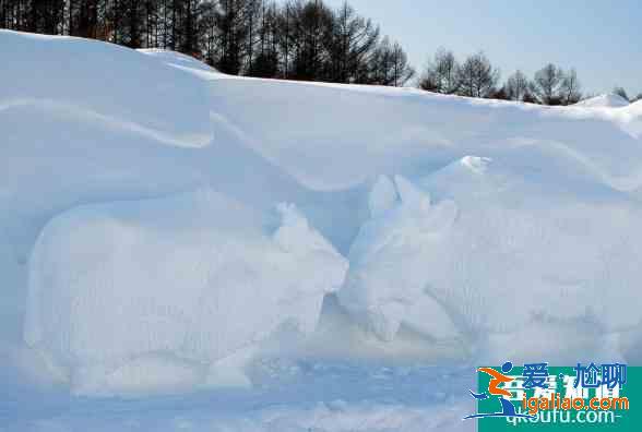 2020长春冰雪节景区活动时间及优惠政策？