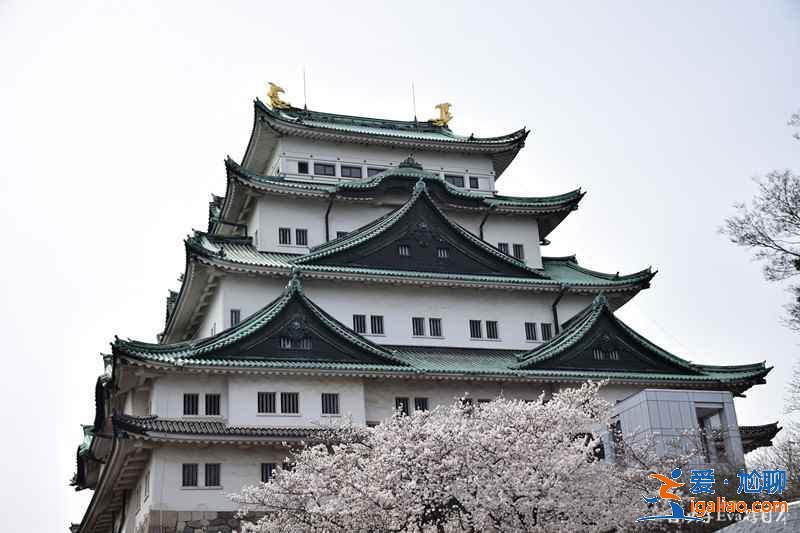 名古屋有哪些热门景点，名古屋必游景点推荐，名古屋旅游攻略？