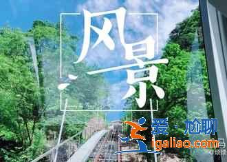 黄山摄影攻略：云海、日出、日落黄金拍摄点？