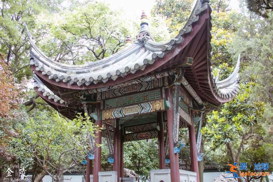 南京2日游怎么玩，南京2日游怎么安排，南京2日游玩法攻略？