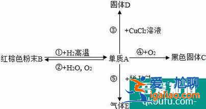 初中化学中如何记忆并熟练写出各种物质的化学式？