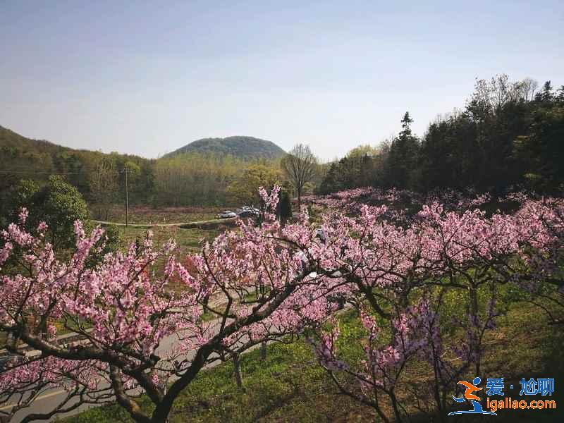 端午节南京周边好去处，2019端午节南京周边有什么好去处？