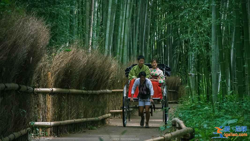 大阪京都怎么玩，大阪京都玩几天合适，大阪京都旅游攻略？