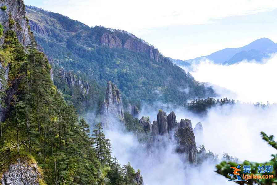 神农架有什么好玩的地方，神农架有哪些热门景点，神农架热门景点推荐？