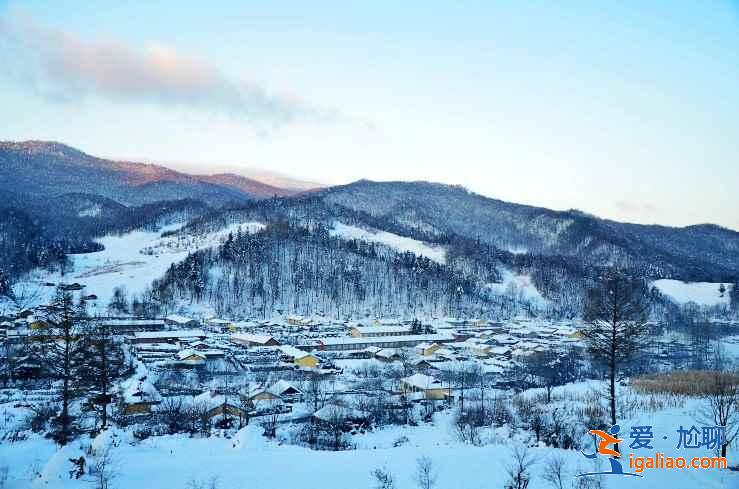 哈尔滨到东升林场（雪谷）交通，哈尔滨到东升林场怎么去？