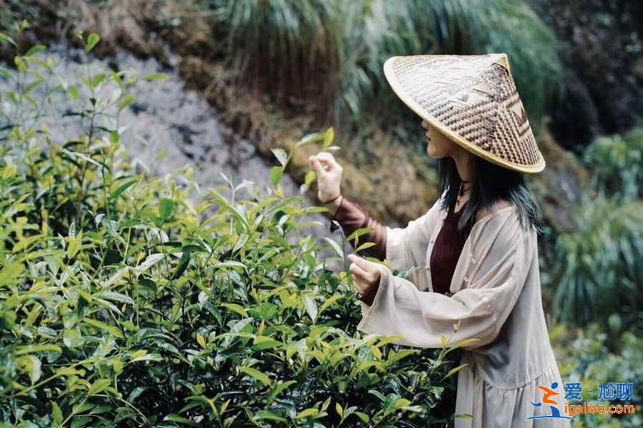 武夷山热门景点有哪些，武夷山热门景点好玩吗，武夷山热门景点推荐？