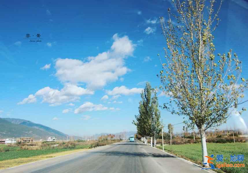 大理的青旅哪家好，大理有没有好一点的青旅，大理青旅推荐？