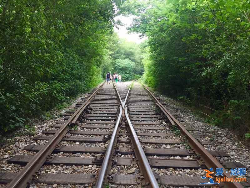 【南京爱情隧道】南京江宁爱情隧道怎么走，南京爱情隧道地址？