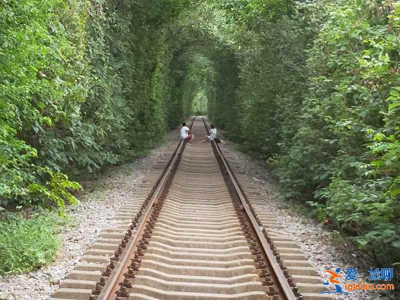 【南京爱情隧道】南京江宁爱情隧道怎么走，南京爱情隧道地址？