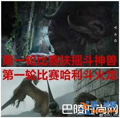 《扶摇》爆抄袭哈利波特 网爆8大相同点？