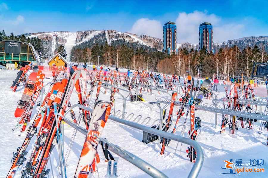 北海道星野度假村好玩吗？北海道星野度假村怎么玩？？