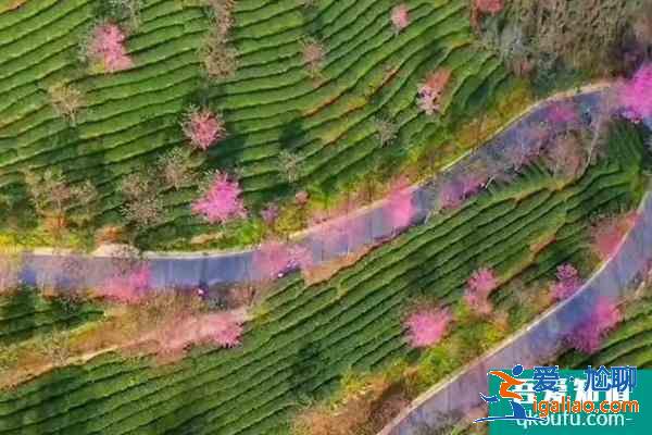 冬天去哪里旅游好玩 冬天旅游景点推荐？