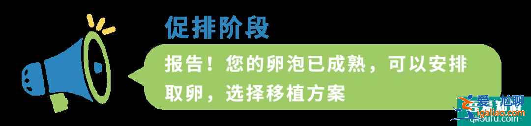 B超检查在试管婴儿周期中都起到什么作用?IVF专家为您解析！？