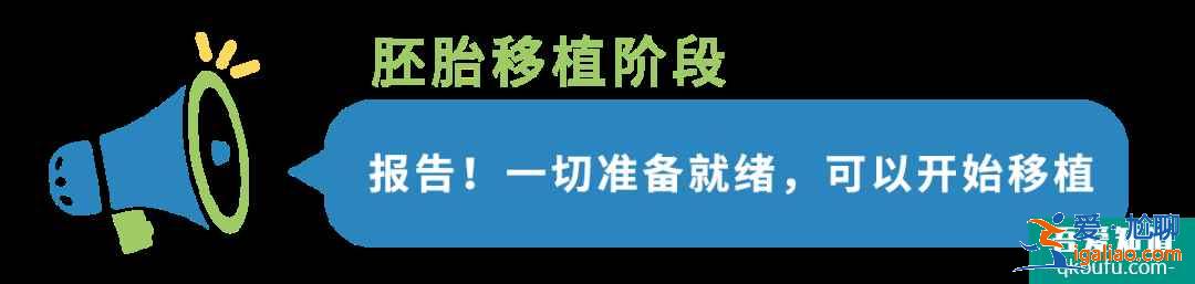 B超检查在试管婴儿周期中都起到什么作用?IVF专家为您解析！？